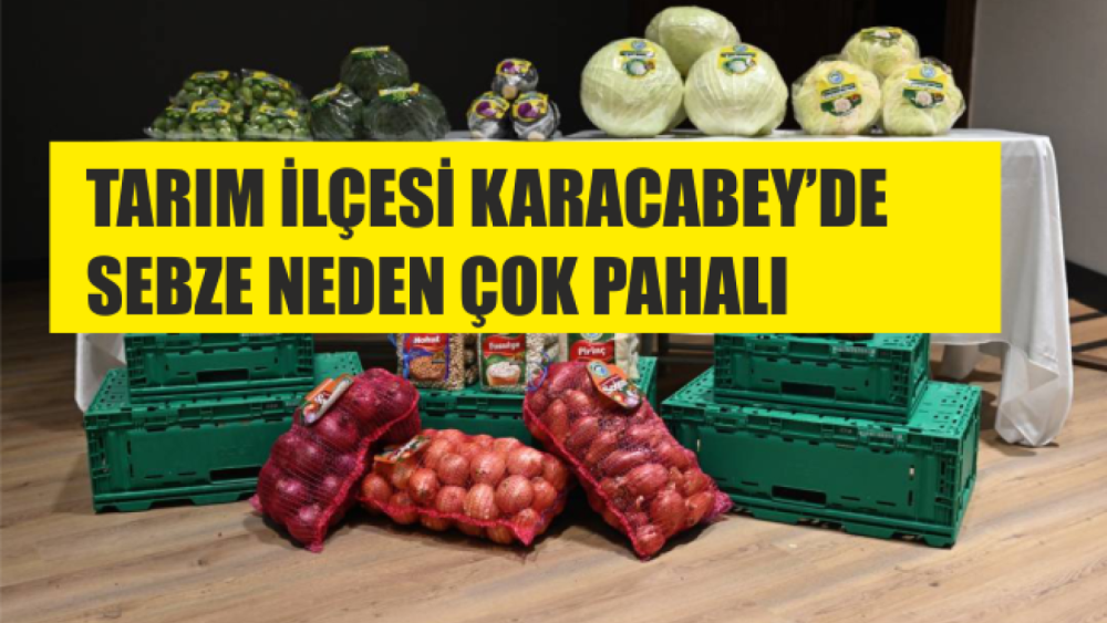 TARIM KENTİ KARACABEY'DE FAHİŞ FİYATLA SEBZE ALIMI